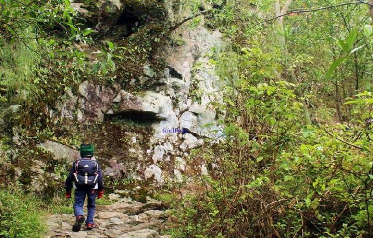 147 Hektare Hutan di Gunung Lawu Terbakar, Cemoro Sewu Ditutup