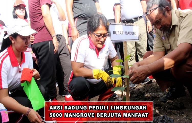 AKSI BADUNG PEDULI LINGKUNGAN 5000 MANGROVE BERJUTA MANFAAT