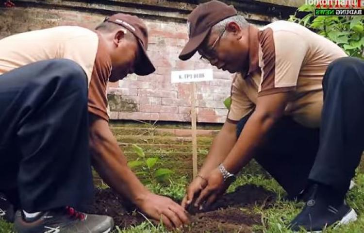 AKSI PENANAMAN 600 BIBIT POHON