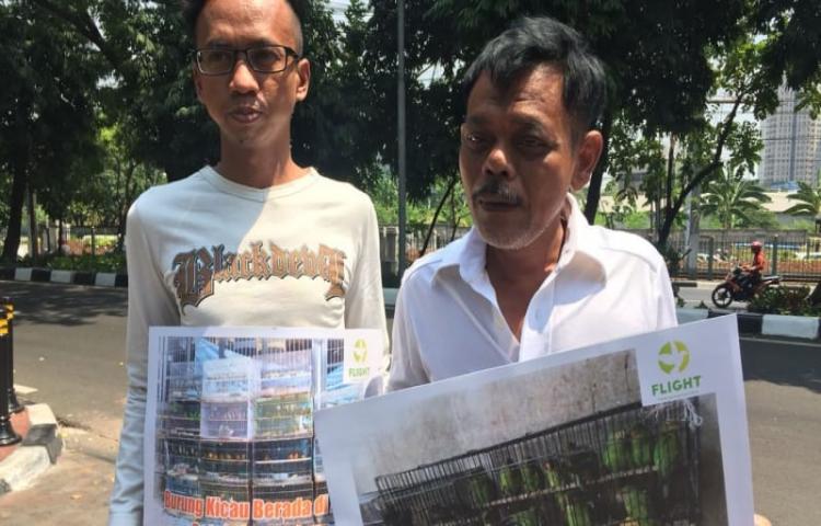 Alasan KLHK Cabut Cucak Rowo dari Satwa Dilindungi: Potensi Budidaya