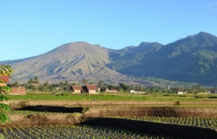 BKSDA Selidiki Penyebab Kebarakan Gunung Guntur