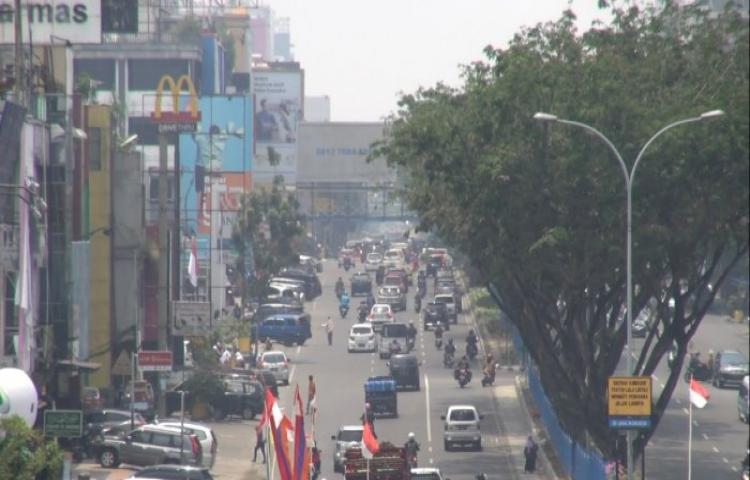 BMKG Sebut Asap Tipis di Riau Kiriman dari Indragiri Hilir