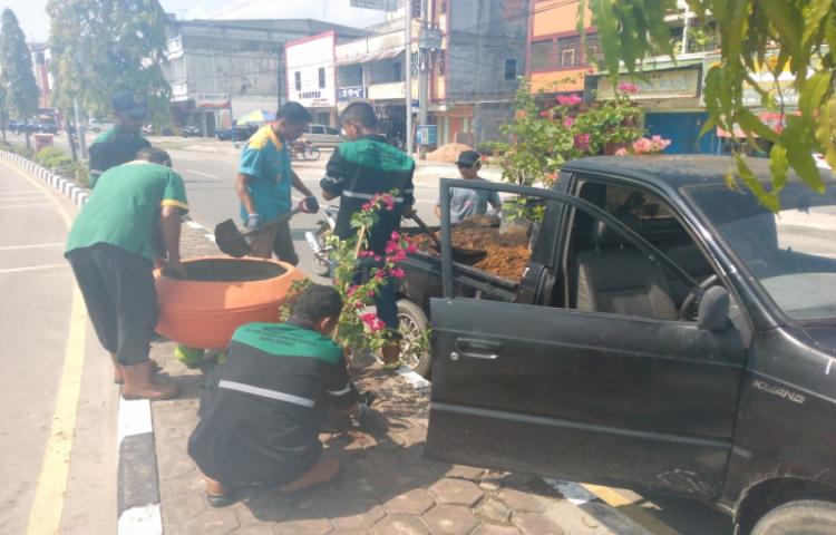 DLH Dumai Lanjutkan Penanaman Bunga di Tepian Jalan
