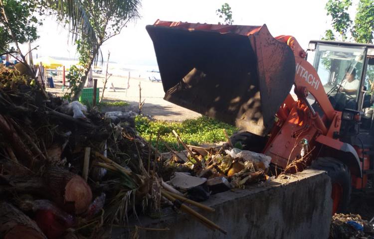 DLHK BADUNG BERSIHKAN KAYU GELONDONGAN DI PANTAI