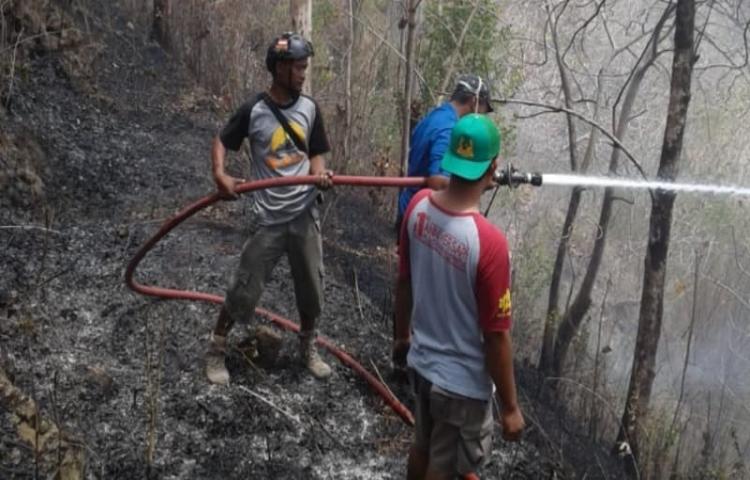 Dalam Seminggu, 10 Kebakaran Terjadi di Bantul