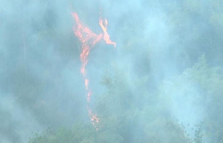 Diduga Warga Bakar Sampah, Hutan Gunung Pangadegan Sumedang Terbakar