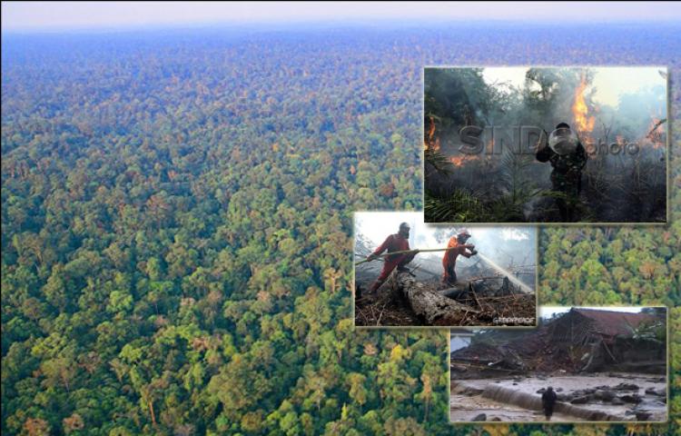 Fakta-Fakta Persoalan Lingkungan di Indonesia