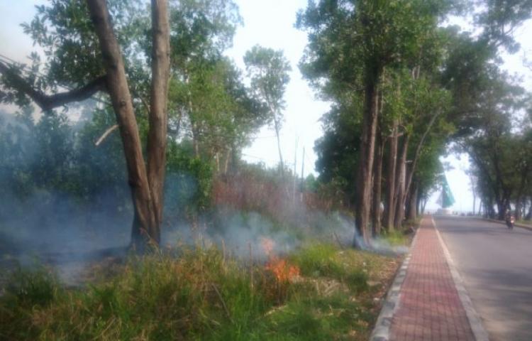Hujan Tak Turun, Karhutla Terjadi Lagi di Kayong Utara
