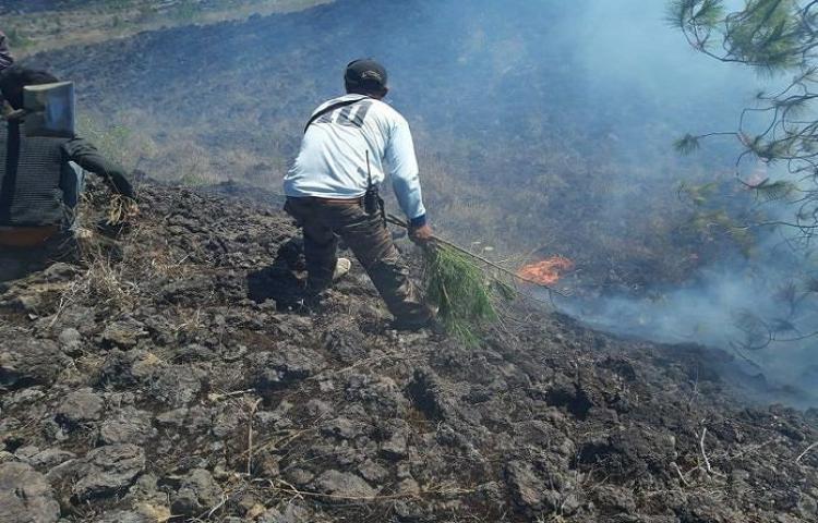 KAWASAN TWA GUNUNG BATUR BUKIT PAYANG KEMBALI TERBAKAR