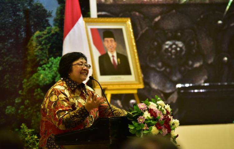 KLHK Tingkatkan Rehabilitasi Hutan dan Lahan Sepuluh Kali Lipat di 2019