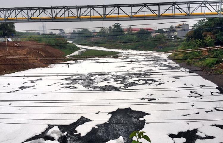 Kali Bekasi Kembali Berbusa dan Bau, Ikan Mendadak Mabuk