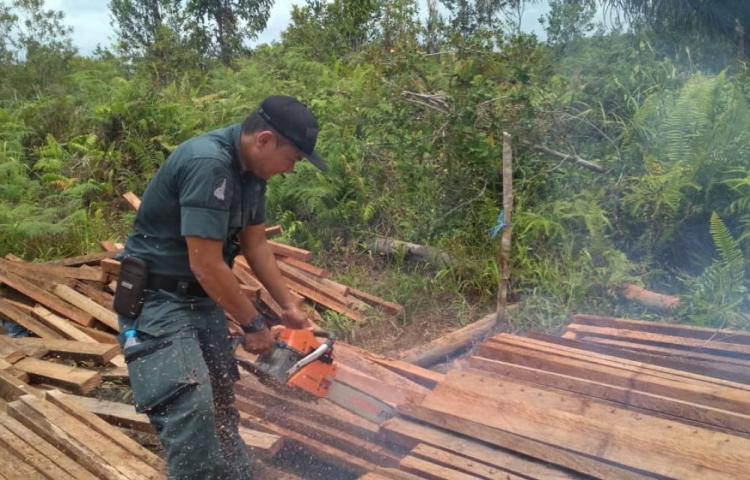 Kayu Hasil Pembalakan Liar Dimusnahkan