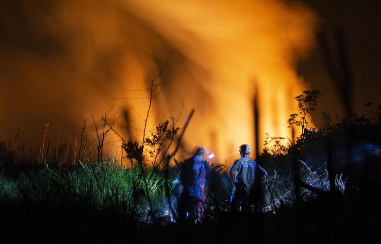 Kebakaran Lahan Gambut di Penajam Kian Meningkat