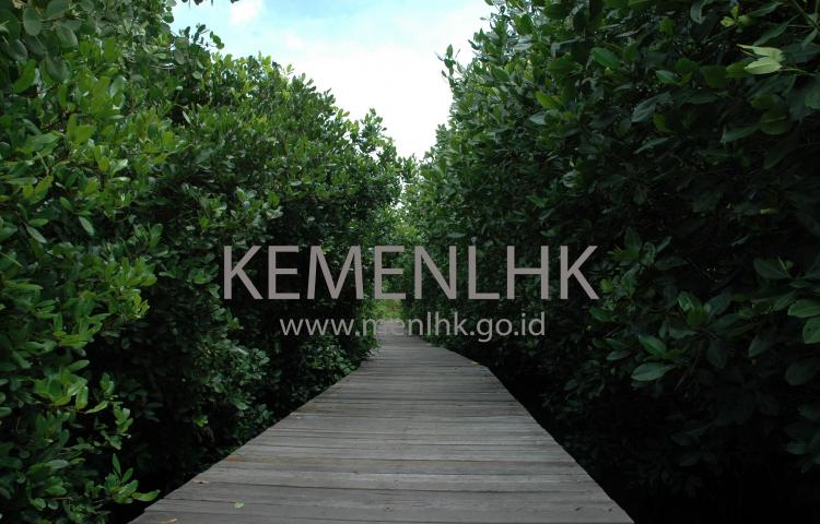 Klhk Dampingi Pemerintah Daerah Tuntaskan Amanat Presiden Agar Indonesia Bersih Sampah 2025