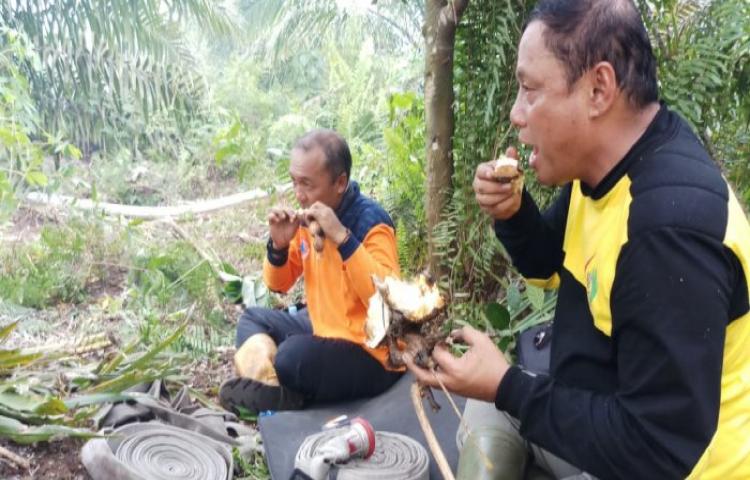 Makan Ubi yang Masak Secara Alami, Begini Cerita Tim Pemadam Karhutla di Teluk Meranti
