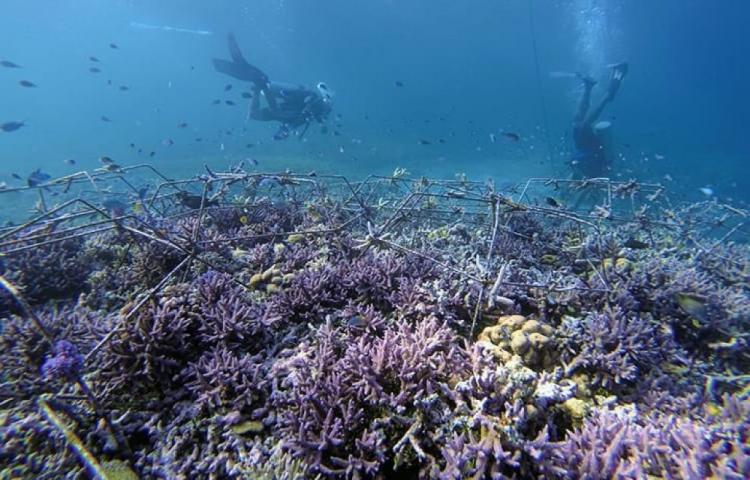 Menteri LH Se-Dunia Berkumpul di Indonesia