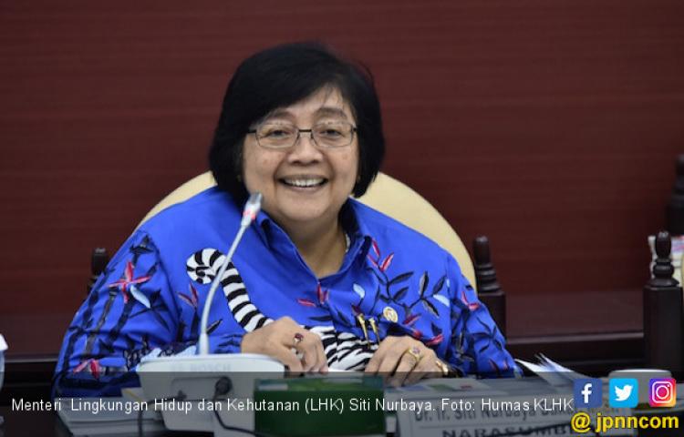 Menteri LHK: Pusat Gambut, Dari Indonesia untuk Dunia