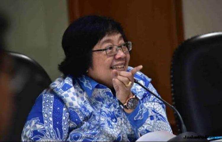 Menteri Siti Sebut Habitat Orangutan Tak Terganggu Proyek PLTA