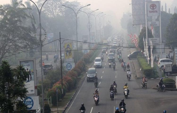 Polda Kalbar tetapkan 35 tersangka kasus kebakaran hutan dan lahan