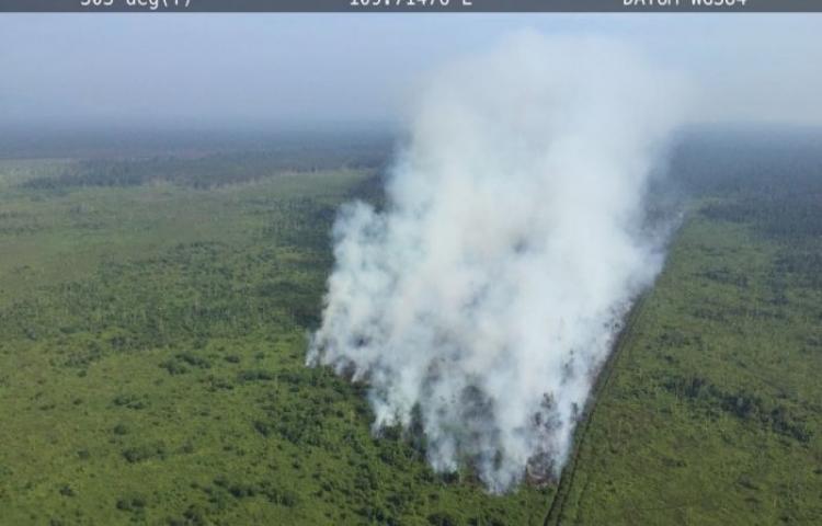 Polres Singkawang Selidiki Penyebab Karhutla