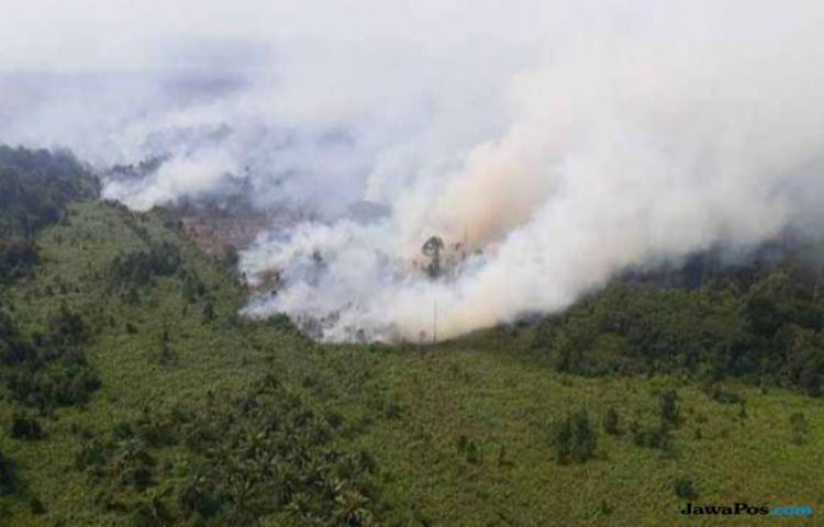 Riau Sumbang Titik Panas Terbanyak di Sumatera