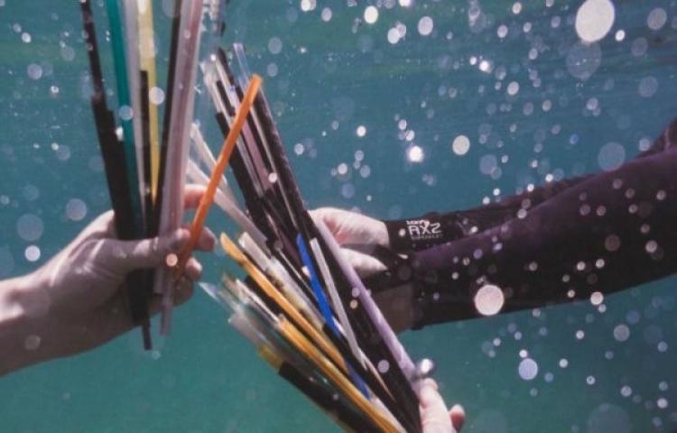 Sedotan Emas atau Plastik?