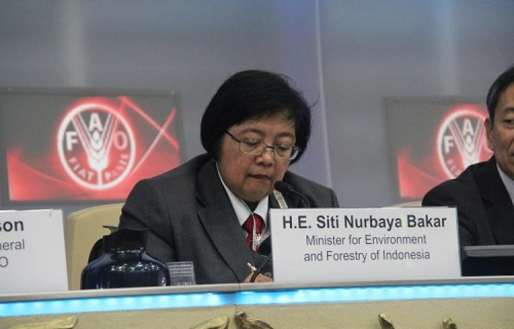 Tindakan Korektif Bidang Kehutanan Disampaikan Di Pertemuan Komite Kehutanan FAO
