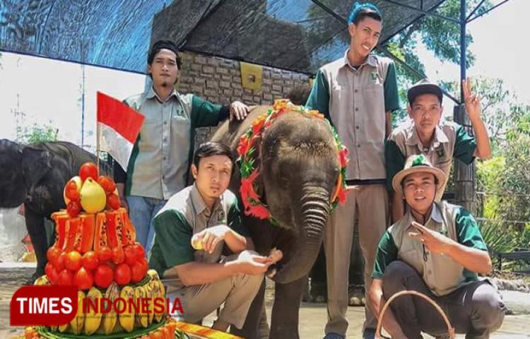 Tumpeng Buah Jadi Kado Ulang Tahun Putri Maharani di Maharani Zoo