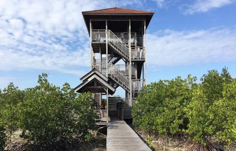 Wisatawan Keluhkan Tak Ada Kamar Kecil di Hutan Mangrove Karimunjawa