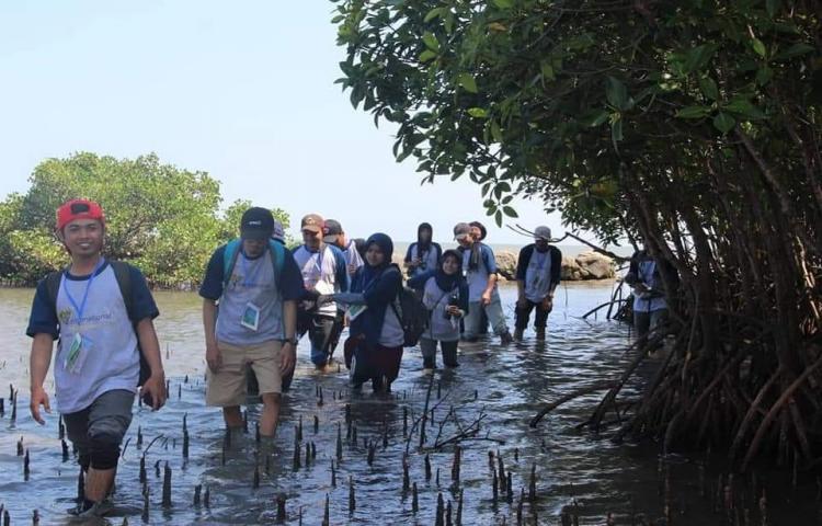 Kembali Lebat, Ini Cerita Sukses Rehabilitasi Mangrove Kurricaddi
