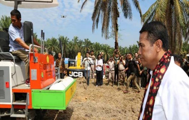 eremajaan Sawit Rakyat, Devisa & Untungkan Petani