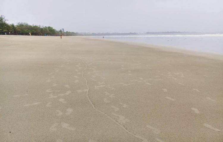 Pantai Kuta bebas dari Sampah