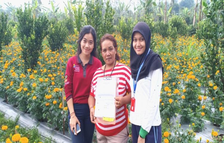 PKH BADUNG DORONG SUWESNI MANDIRI