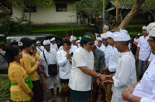 Bupati Giri Prasta Mendem Pedagingan Di Pura Paibon Arya Sentong Banjar Sekar Mukti Pangsan