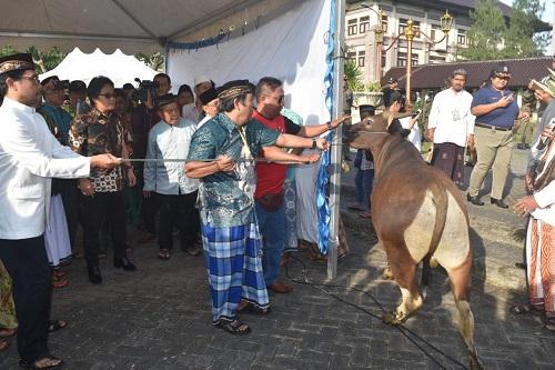 Bupati Giri Prasta Serahkan Hewan Qurban Idul Adha 1439 H