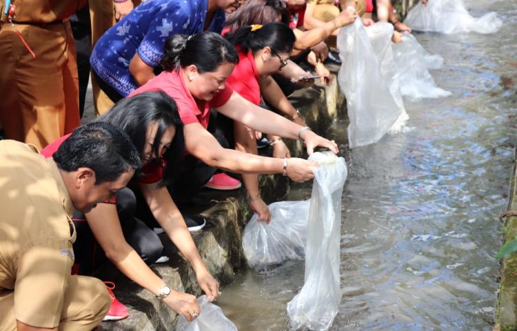 Kegiatan Restocking di Subak Lebud, Baha, Ny. Seniasih Giri Prasta Tebar 114 Ribu Benih Ikan
