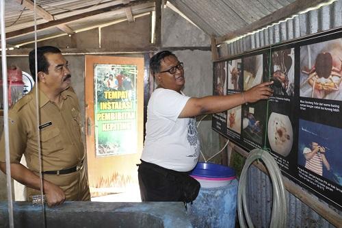 Optimalkan Budidaya Kepiting Bakau, Kepala Balitbang Kunjungi Kampoeng Kepiting