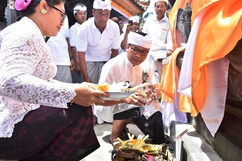 Wakil Suiasa Mendem Pedagingan di Pura Luhur Natar Sari dan Dalem Waraspati Penarungan