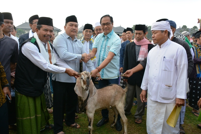 Wabub Suiasa Serahkan 6 ekor Kambing, Idul Adha 1440 H Sebagai Momentum Peningkatan Ketaqwaan dan Rela Berkorban Demi Persatuan Bangsa