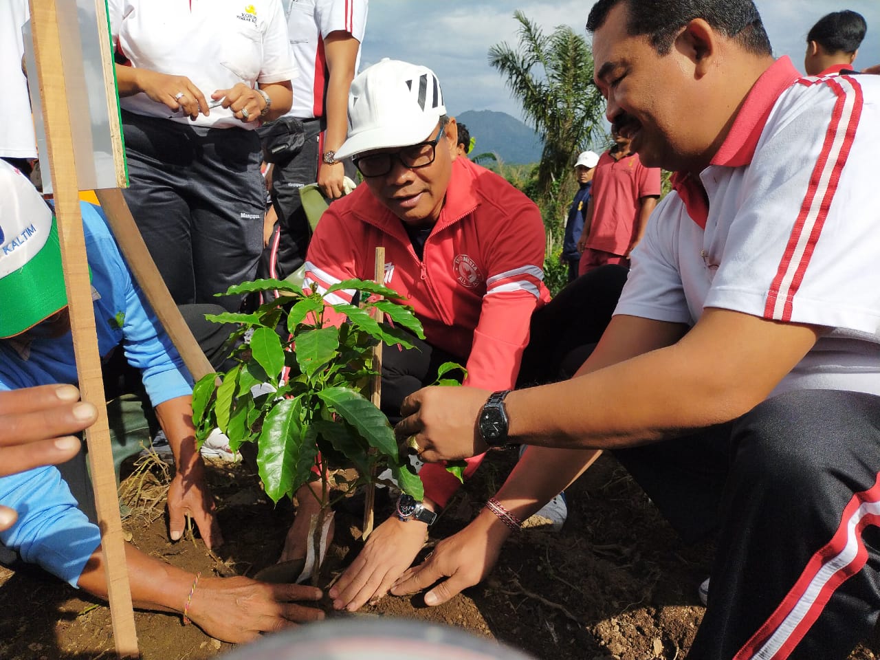 Wabup Suiasa Tanam Bibit Kopi Arabika di Kawasan Agro Techno Park  Jadikan ATP Badung Sebagai Kawasan Terpadu  Pertanian dan Pariwisata