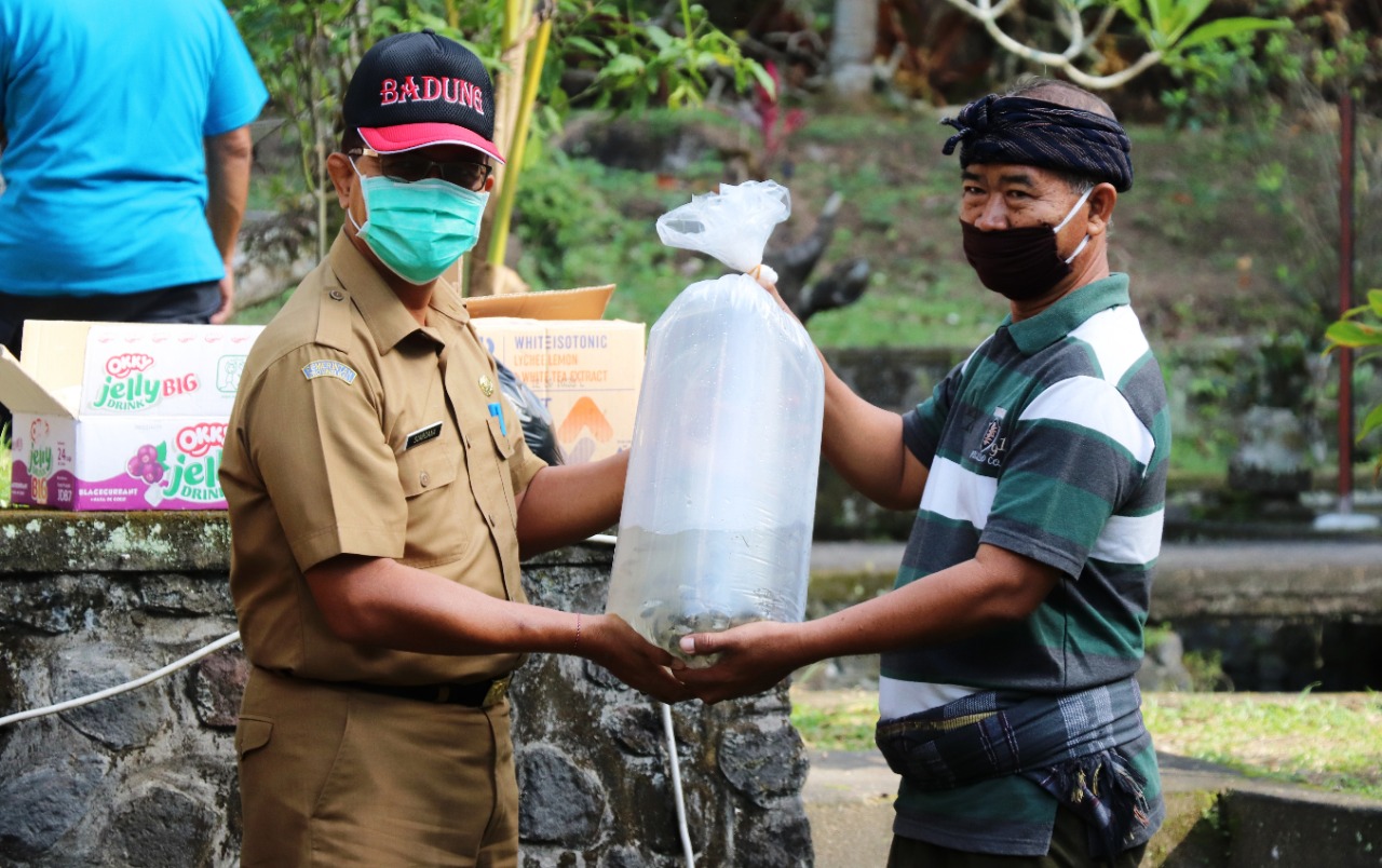 Tingkatkan Populasi Ikan Air Tawar, Pemkab Badung Tebar Benih di Sungai dan Sumber Mata Air
