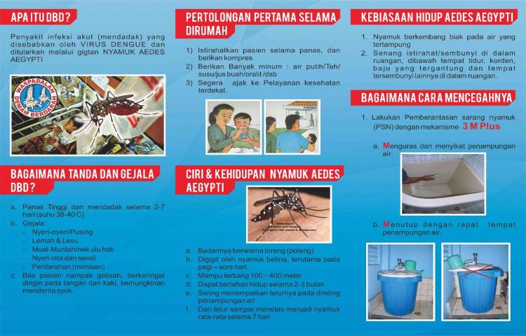 Brosur Apa itu DBD ?