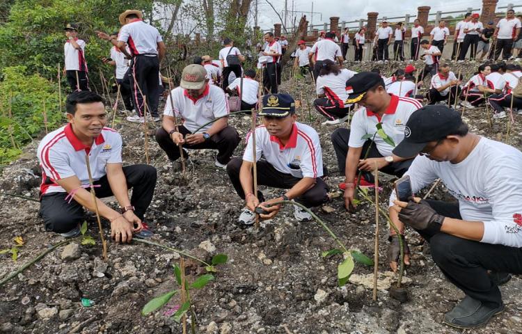 Penanaman 5000 bibit Mangrove di Muara Tukad Mati Pata Sari