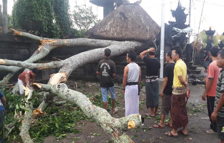 Camat Kuta Selatan Pantau Bencana Alam di Sawangan Kel. Benoa
