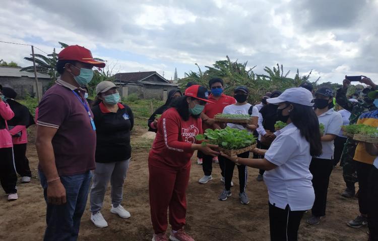 Kegiatan HATINYA PKK Yang Bersinergi Dengan Program Urban Farming South Kuta di Kel.Tanjung Benoa