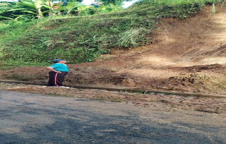 CAMAT PETANG TINJAU TANAH LONGSOR SUBAK BREGIDING, PANGSAN