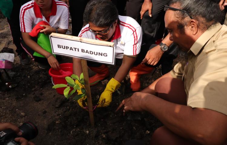 Bupati Badung Tanam mangrove di Patasari Kuta Tanam juga 10 bibit langka, disertai pelepasan Satwa Elang, Kura-Kura, Biawak dan Bulus