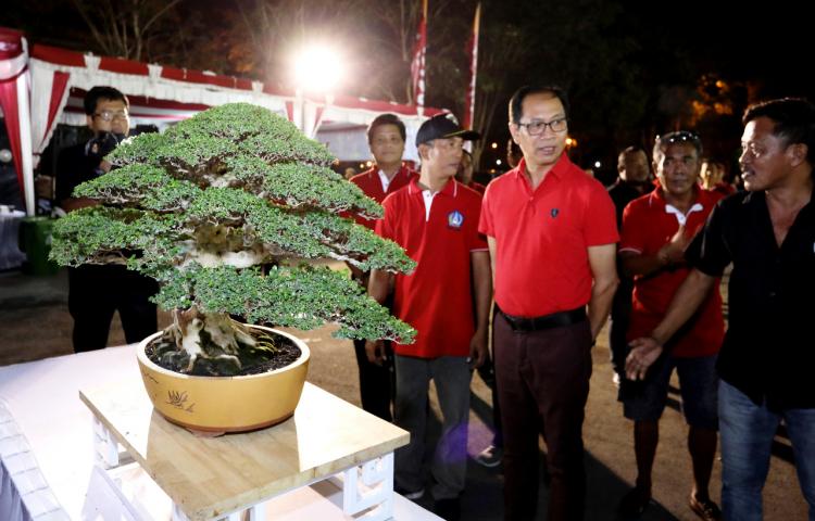 Kontes Bonsai "Giri Wana Cup" Kabupaten Badung Tahun 2019