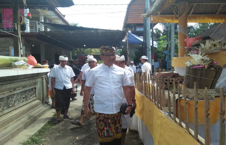 Krama Br. Kambang, Bongkasa Kembali Gelar Memukur Massal