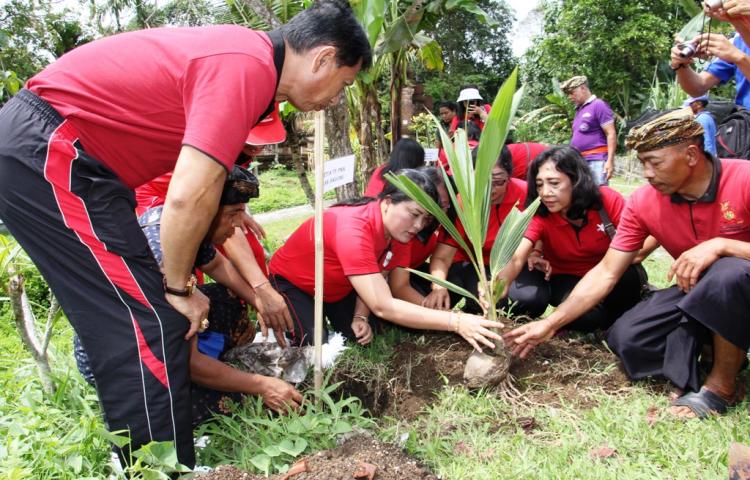 PKK Badung Tanam Kelapa Daksina di Sulangai, Petang